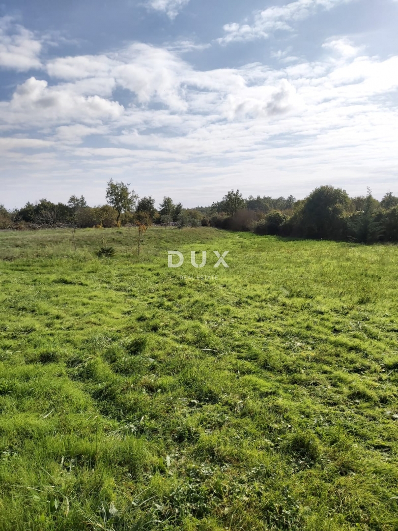 ISTRIA, ŽMINJ - Terreno edificabile 660 m2 con permesso di costruire