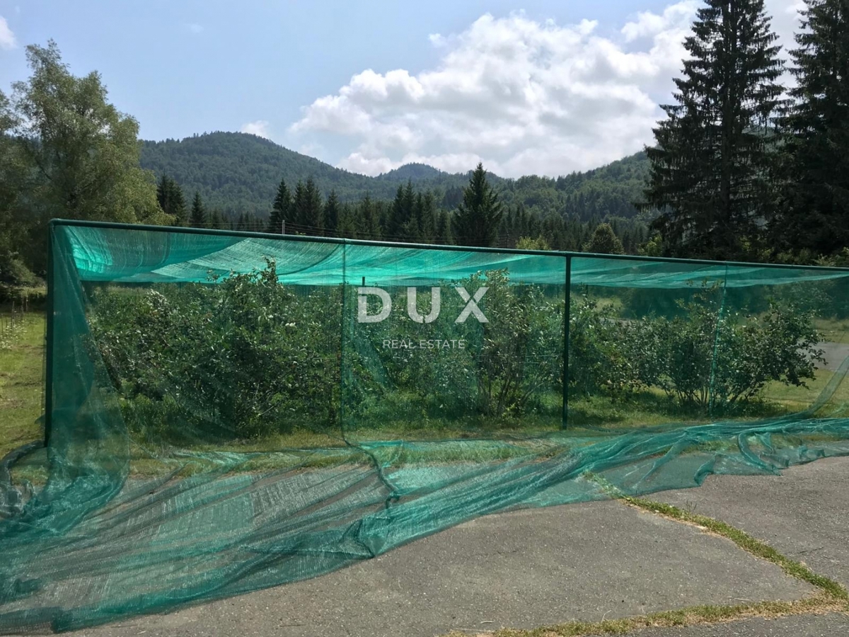 OGULIN, BJELOLASICA - eccellente opportunità di investimento!