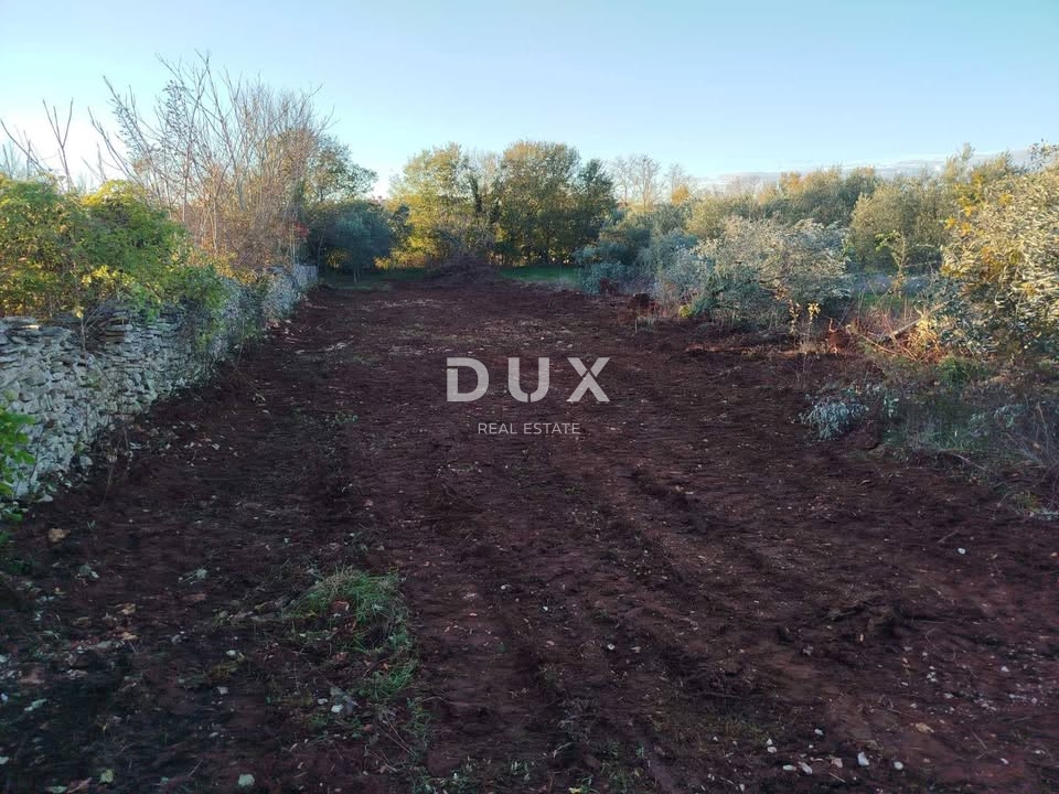 ISTRIA, VODNJAN - Terreno edificabile