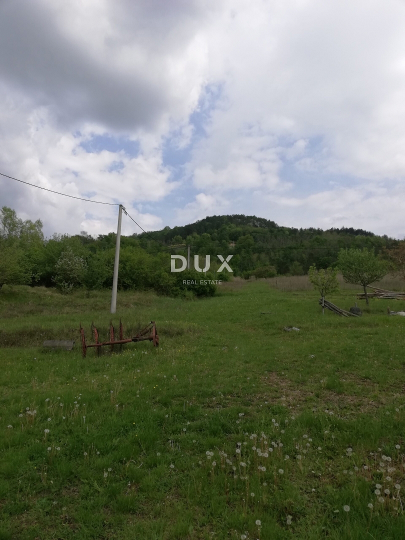 Terreno Motovun, 531.833m2