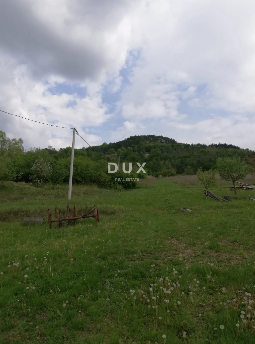 Terreno Motovun, 531.833m2