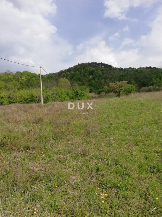 Terreno Motovun, 531.833m2