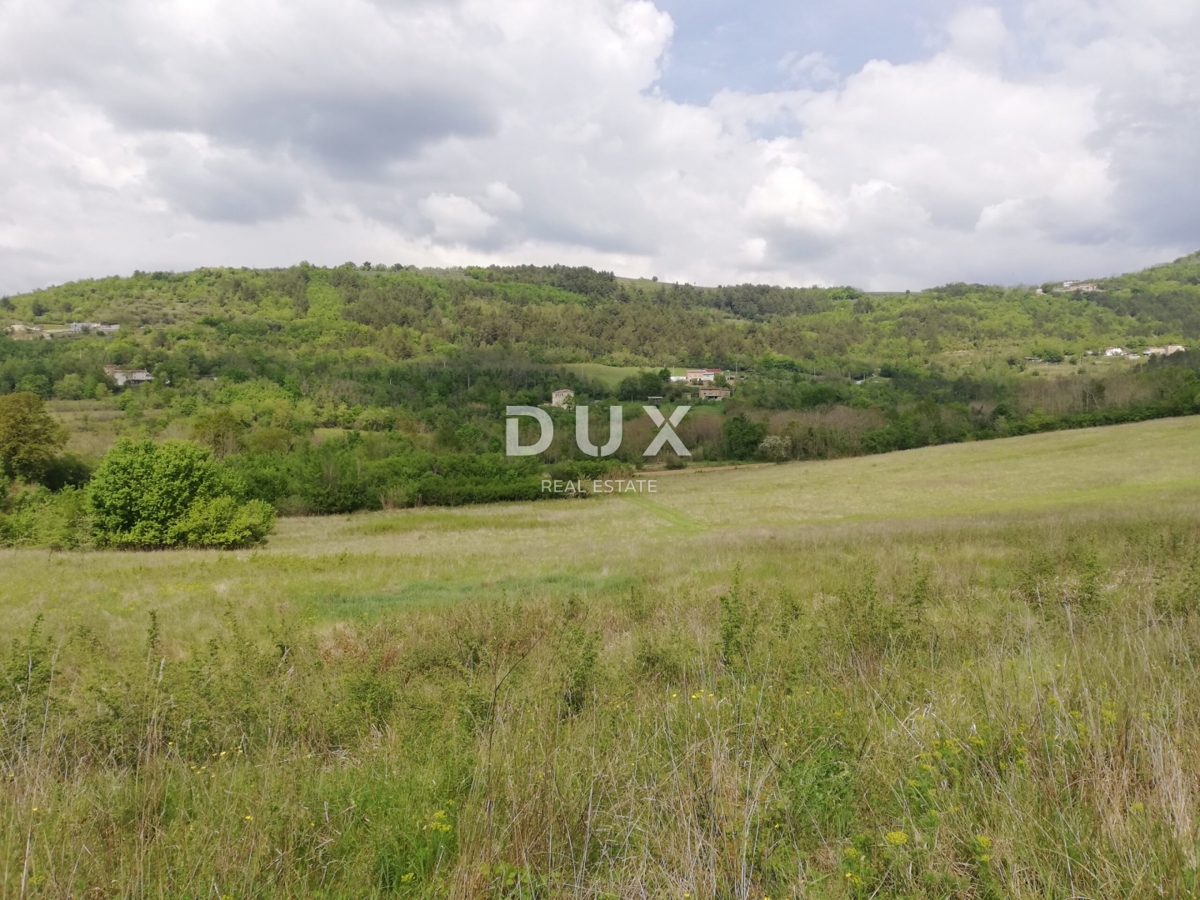 Terreno Motovun, 531.833m2