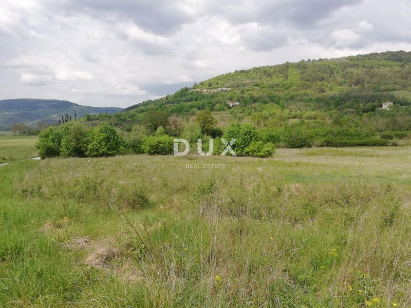 Terreno Motovun, 531.833m2