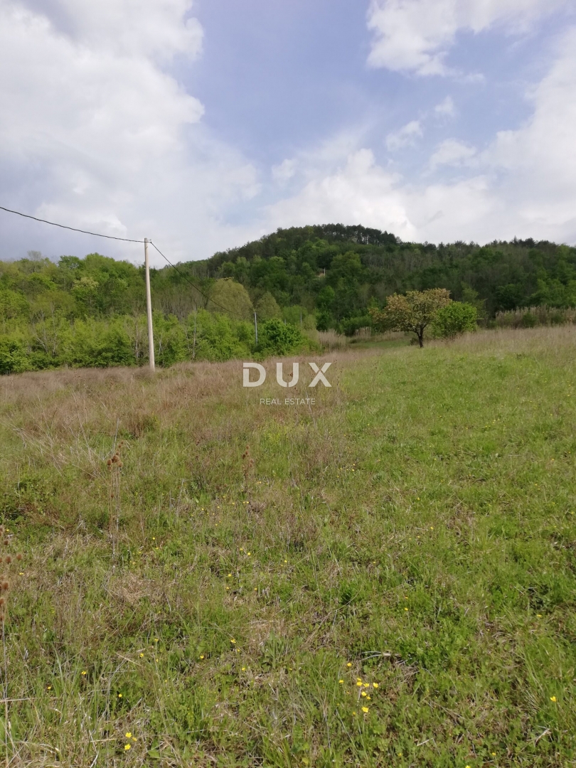 Terreno Motovun, 531.833m2