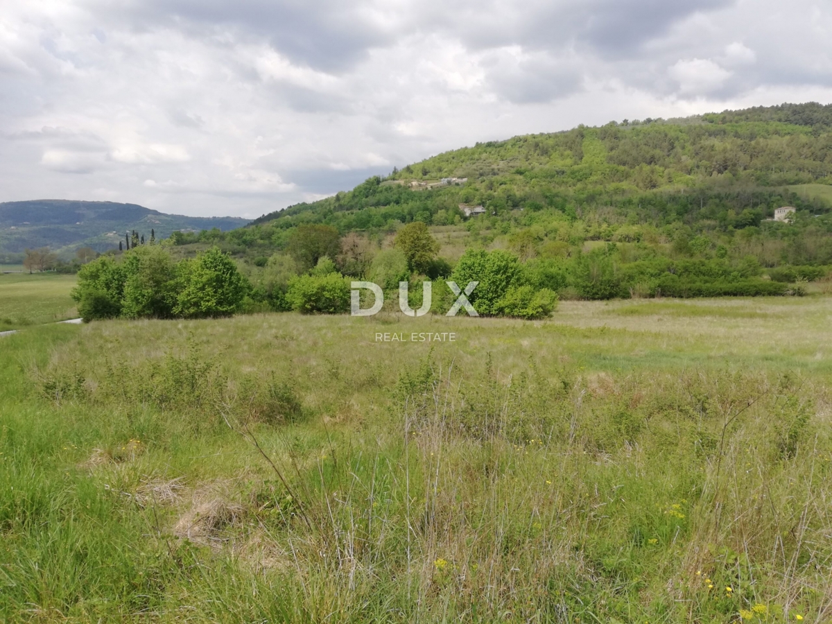 Terreno Motovun, 531.833m2