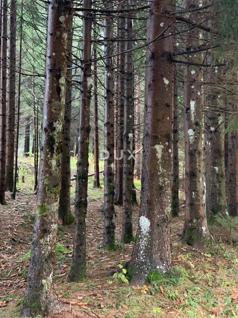 GORSKI KOTAR, HLEVCI - Terreno edificabile in vendita