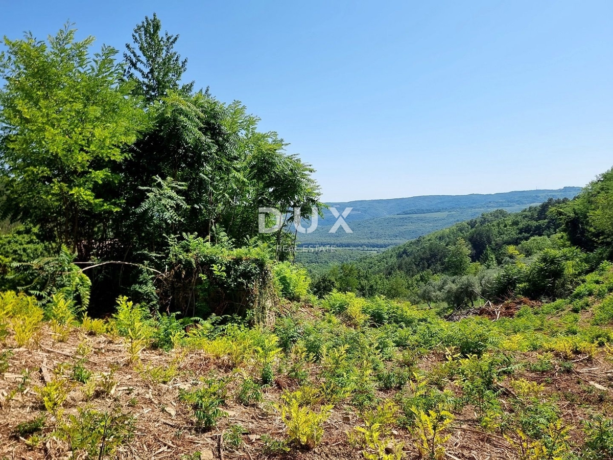 ISTRIA, GROŽNJAN - Terreno edificabile in zona appartata con vista panoramica