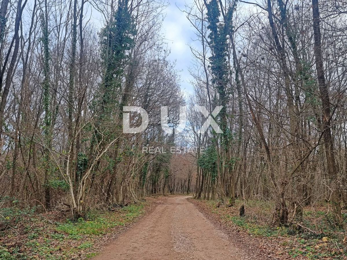 ISTRIA, LABIN - Terreno edificabile in un tranquillo villaggio