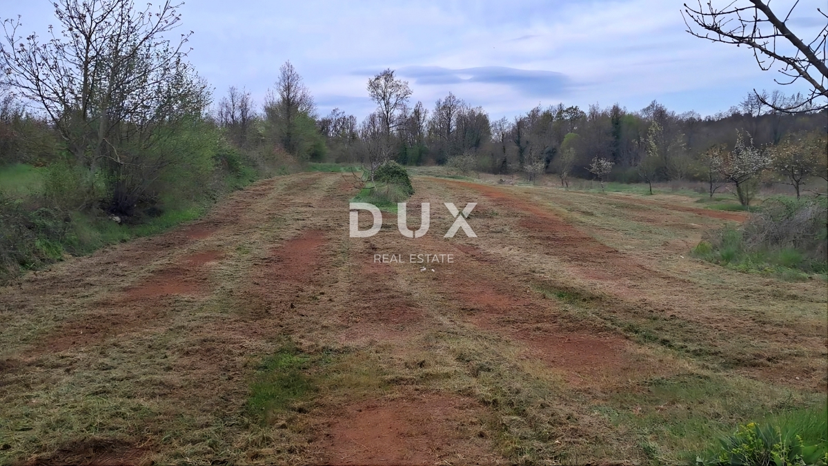 ISTRIA, LABIN - Ampio terreno edificabile