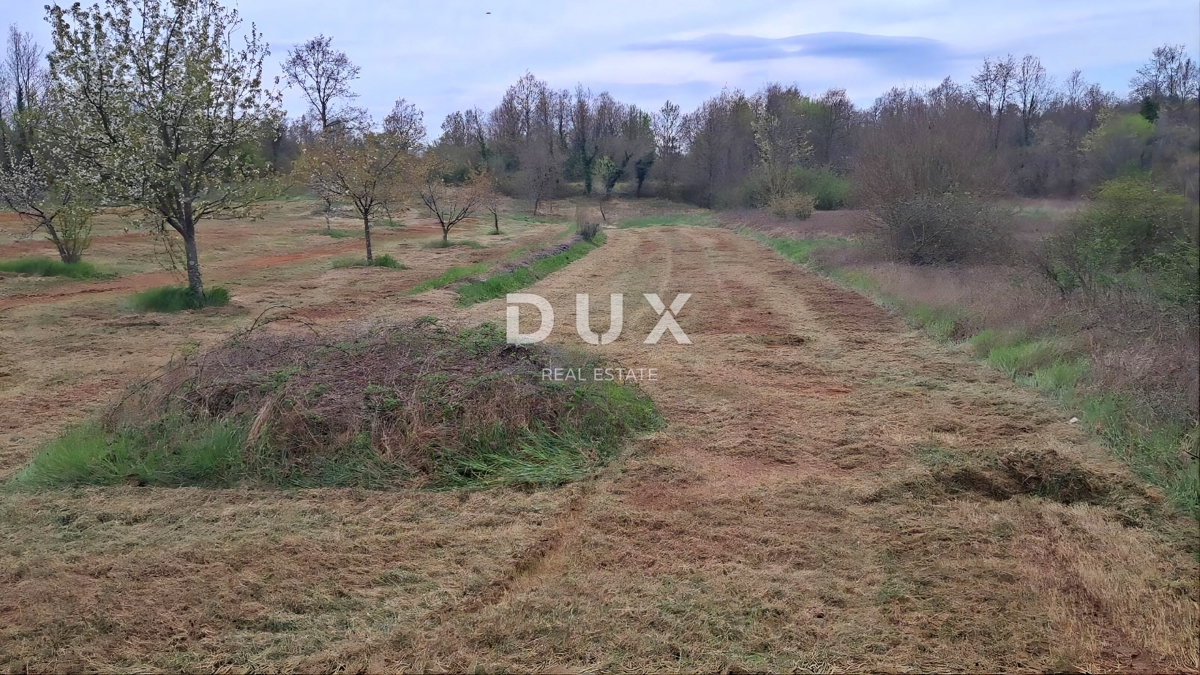 ISTRIA, LABIN - Ampio terreno edificabile