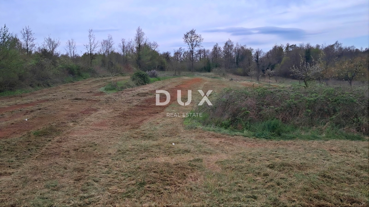 ISTRIA, LABIN - Ampio terreno edificabile