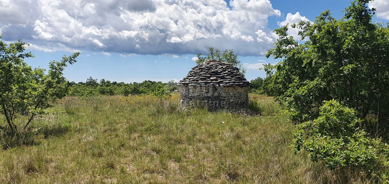 Terreno Juršići, Svetvinčenat, 6.794m2