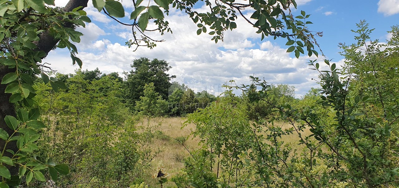 Terreno Juršići, Svetvinčenat, 6.794m2