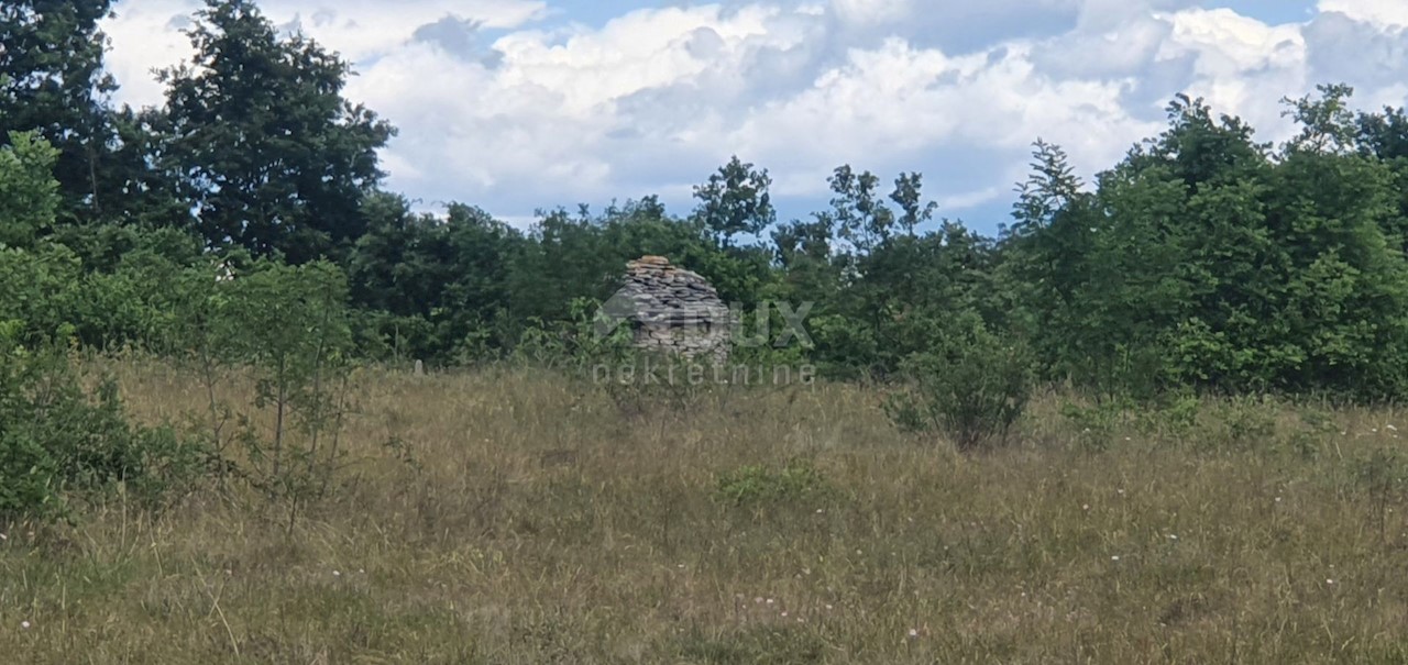 Terreno Juršići, Svetvinčenat, 6.794m2