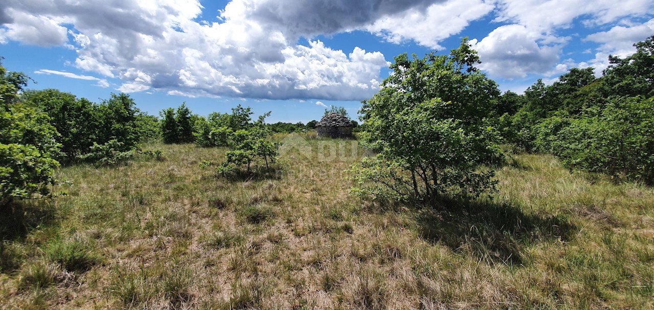 Terreno Juršići, Svetvinčenat, 6.794m2