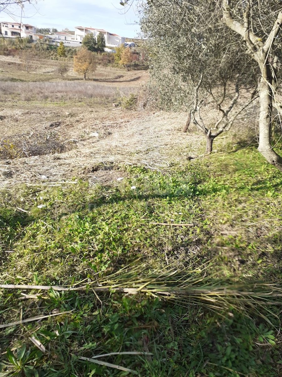 ISTRIA, VIŽINADA - Casa con 5 appartamenti su un ampio giardino di 1500 m2, vista panoramica