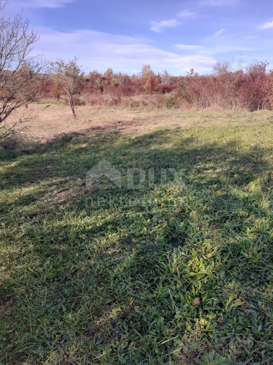 ISTRIA, VIŽINADA - Casa con 5 appartamenti su un ampio giardino di 1500 m2, vista panoramica