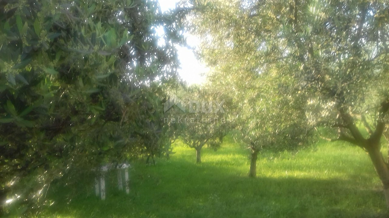 ISTRIA, VIŽINADA - Casa con 5 appartamenti su un ampio giardino di 1500 m2, vista panoramica