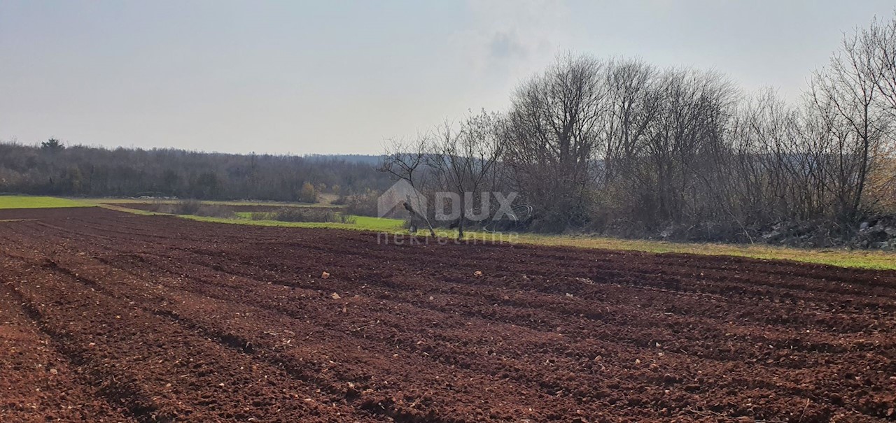 Terreno Sveti Ivan, Višnjan, 2.200m2