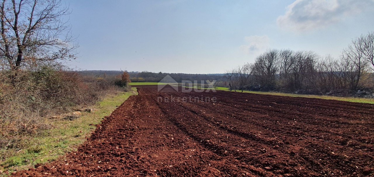 Terreno Sveti Ivan, Višnjan, 2.200m2