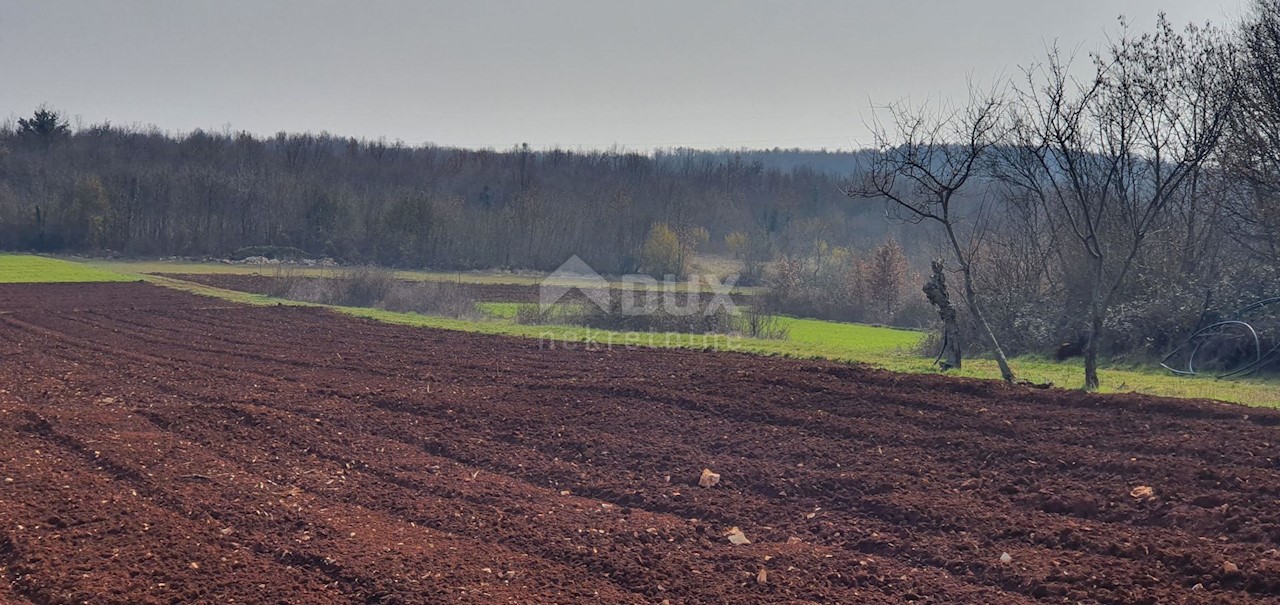 Terreno Sveti Ivan, Višnjan, 2.200m2