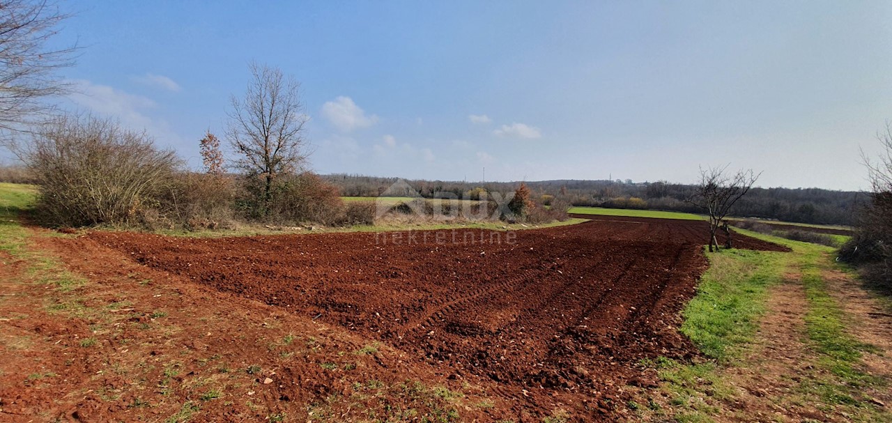 Terreno Sveti Ivan, Višnjan, 2.200m2