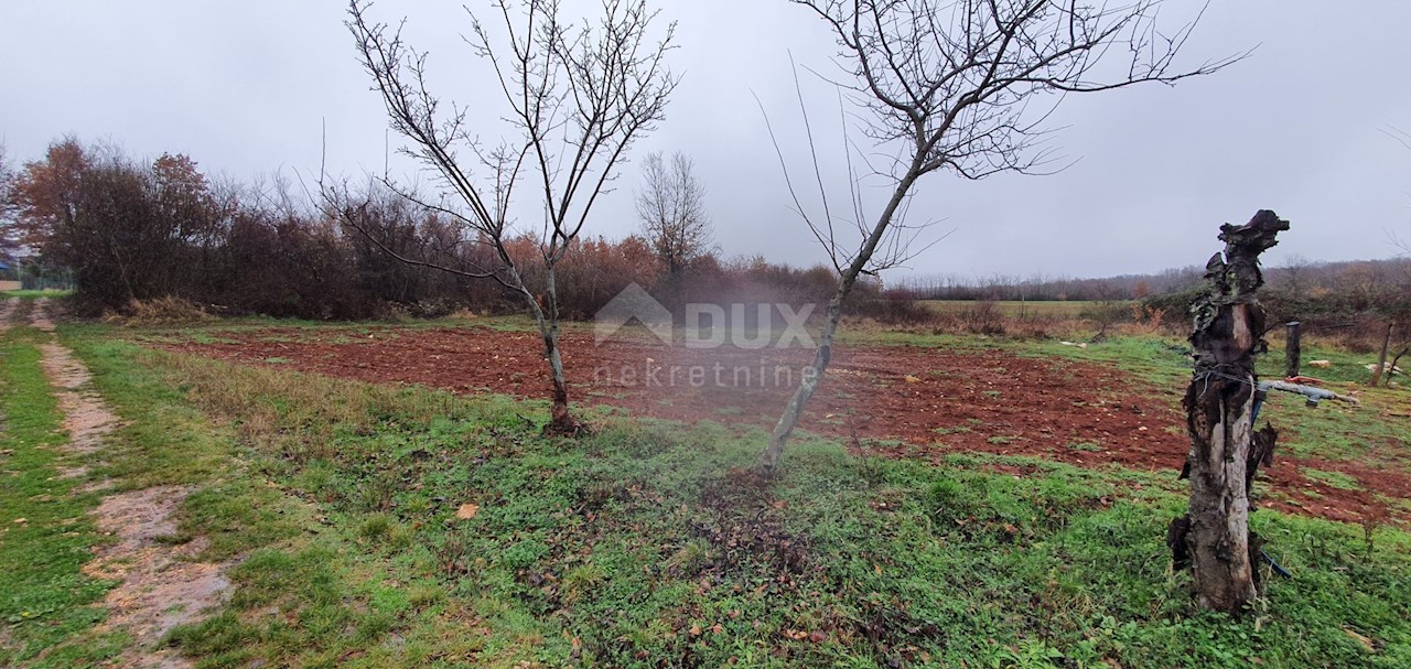 Terreno Sveti Ivan, Višnjan, 2.200m2