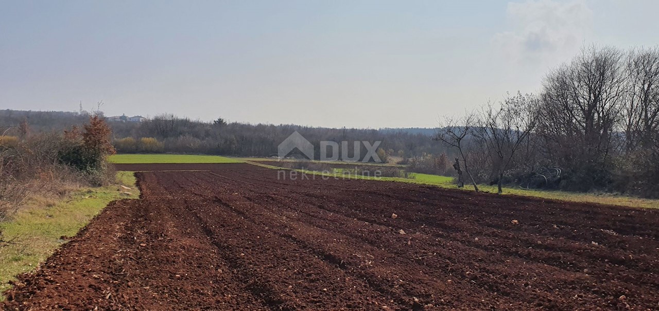 Terreno Sveti Ivan, Višnjan, 2.200m2