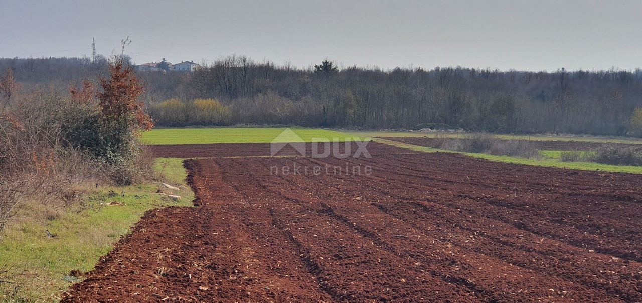 Terreno Sveti Ivan, Višnjan, 2.200m2