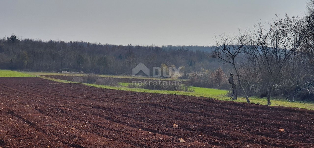 Terreno Sveti Ivan, Višnjan, 2.200m2
