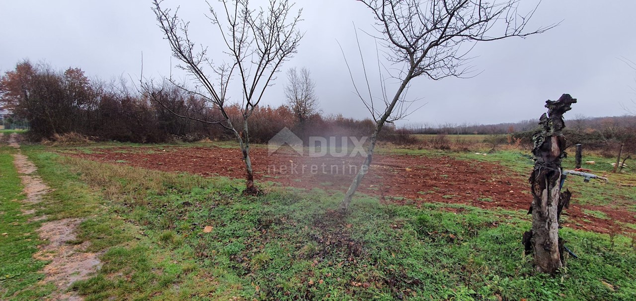 Terreno Sveti Ivan, Višnjan, 2.200m2