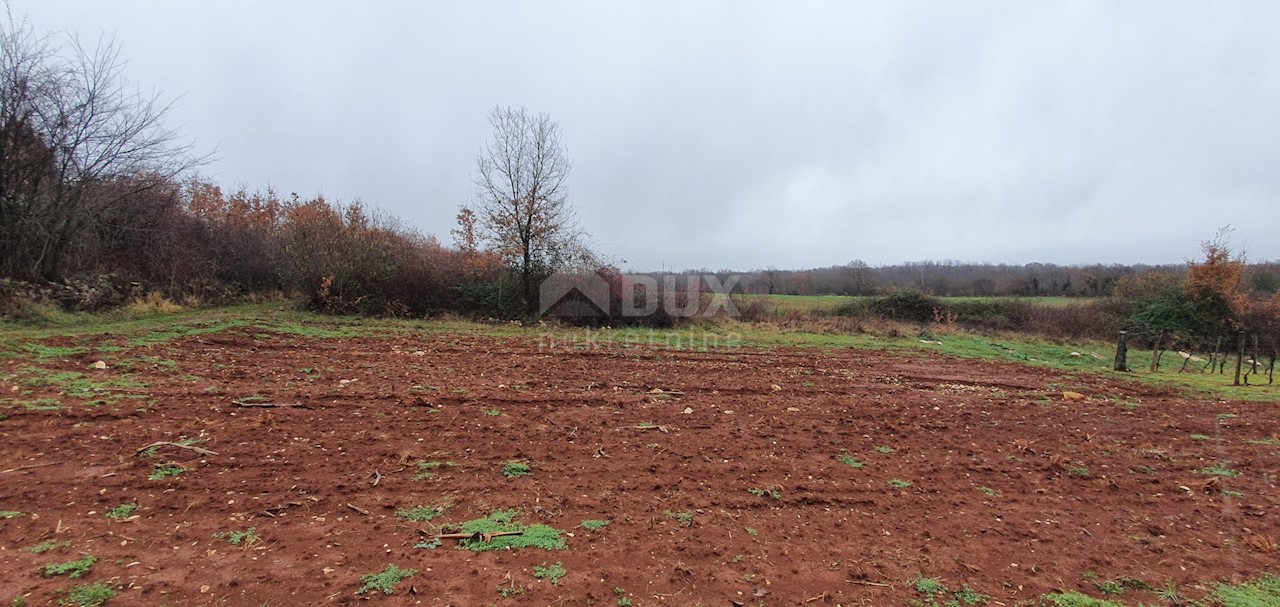 Terreno Sveti Ivan, Višnjan, 2.200m2