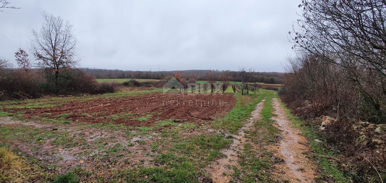 Terreno Sveti Ivan, Višnjan, 2.200m2