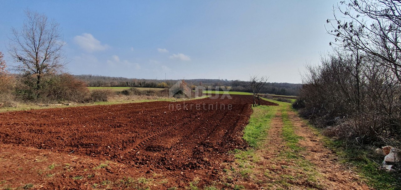 Terreno Sveti Ivan, Višnjan, 2.200m2