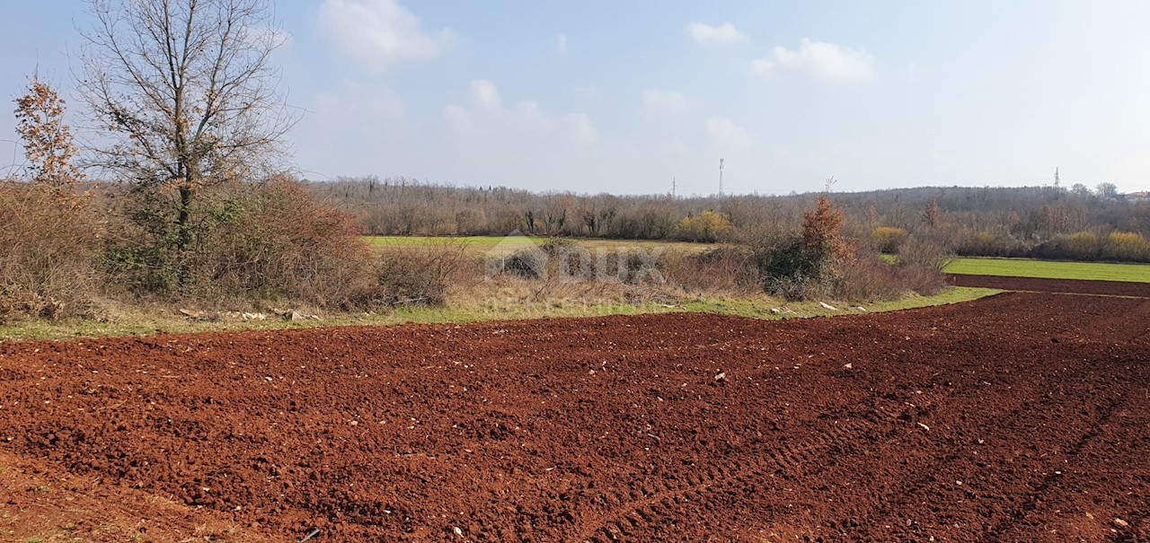Terreno Sveti Ivan, Višnjan, 2.200m2