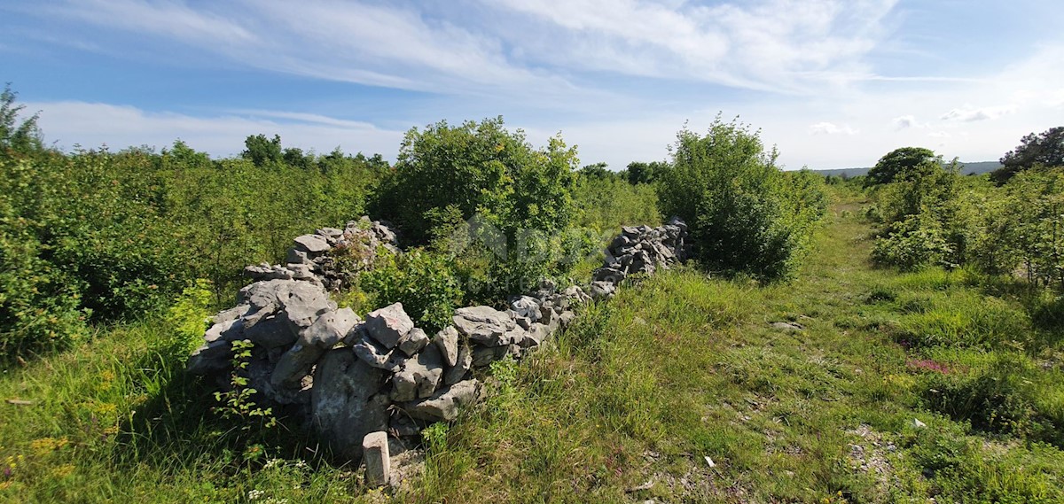 Terreno Labin, 7.884m2