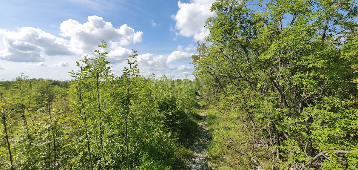 Terreno Labin, 7.884m2