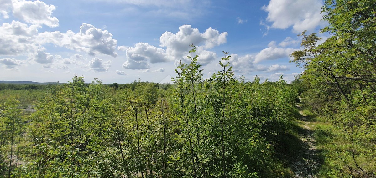 Terreno Labin, 7.884m2