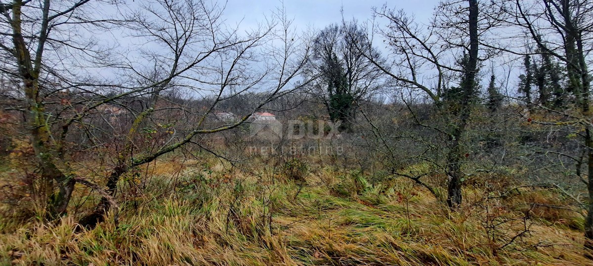 Terreno Laginji, Žminj, 2.522m2