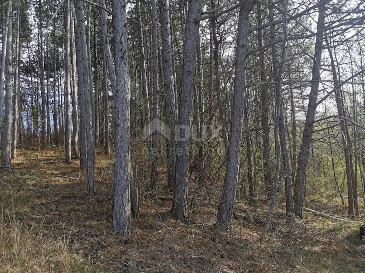 Terreno Kaldir, Motovun, 6.500m2