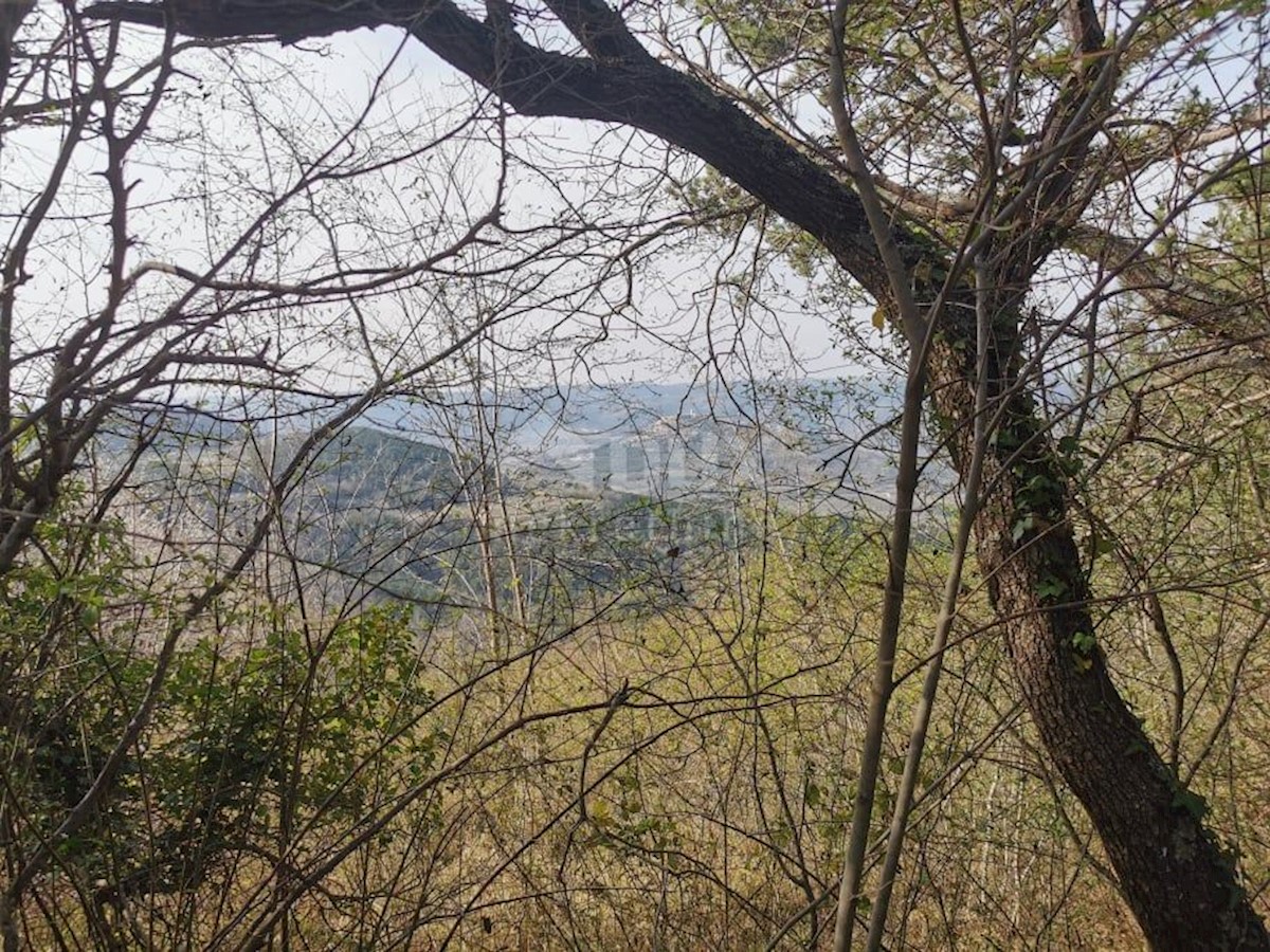 Terreno Kaldir, Motovun, 6.500m2