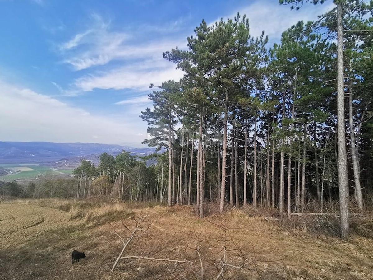 Terreno Kaldir, Motovun, 6.500m2