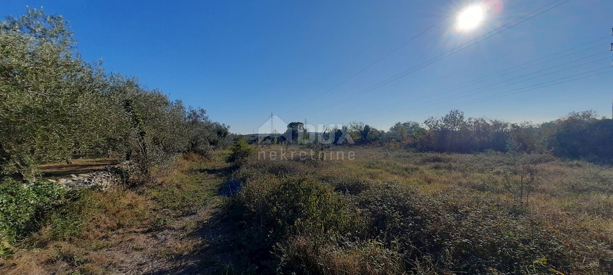 Terreno Fažana, 3.020m2