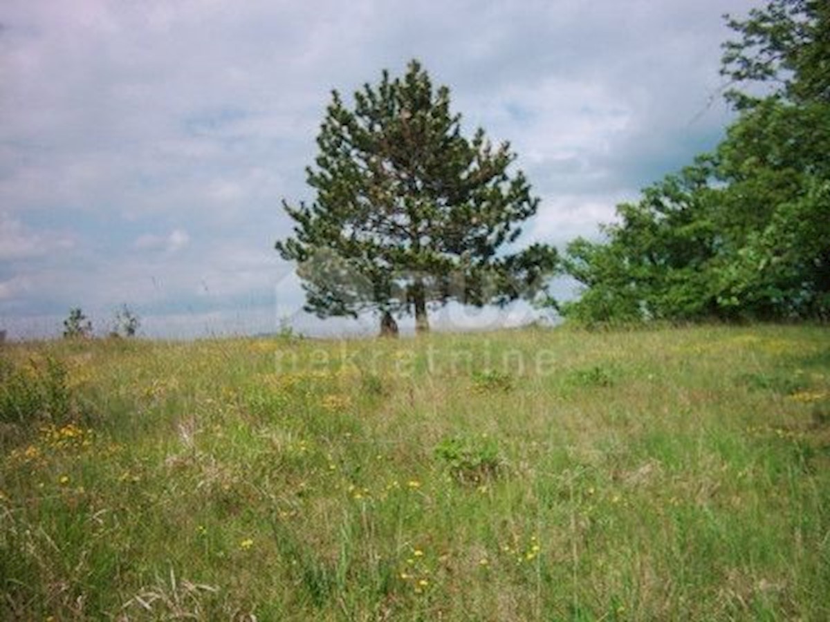 Casa Novaki Pazinski, Cerovlje, 160m2