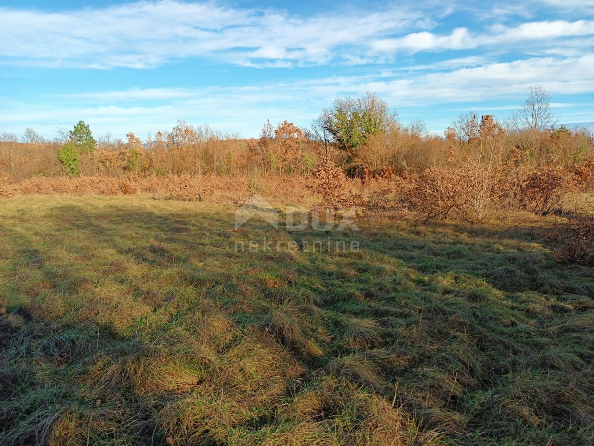 Terreno Labin, 13.218m2