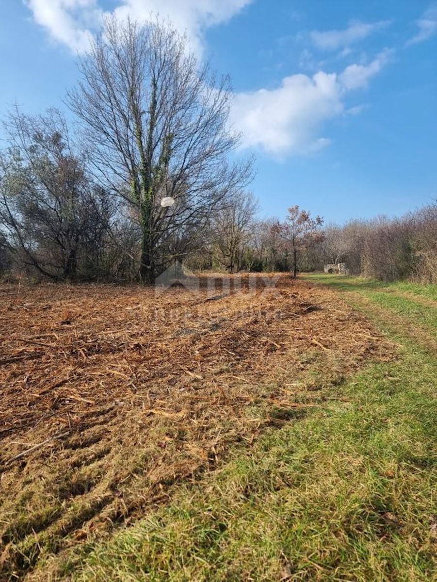 Terreno Kavran, Marčana, 4.000m2