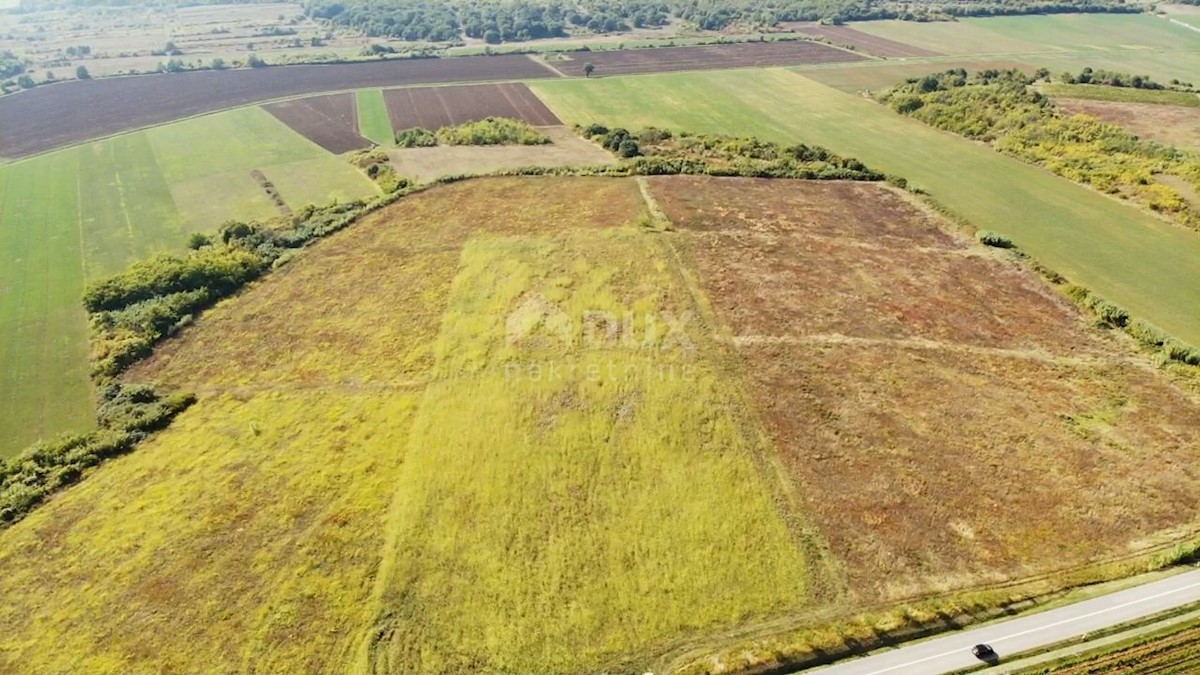 Terreno Buje, 83.917m2