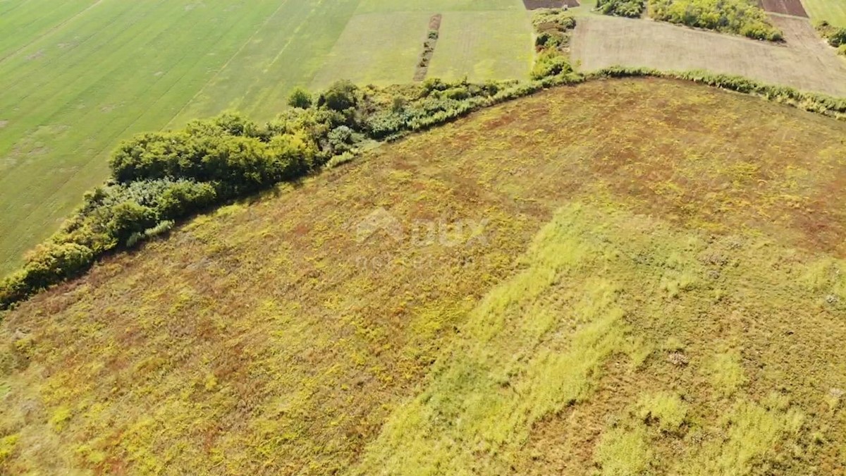 Terreno Buje, 83.917m2