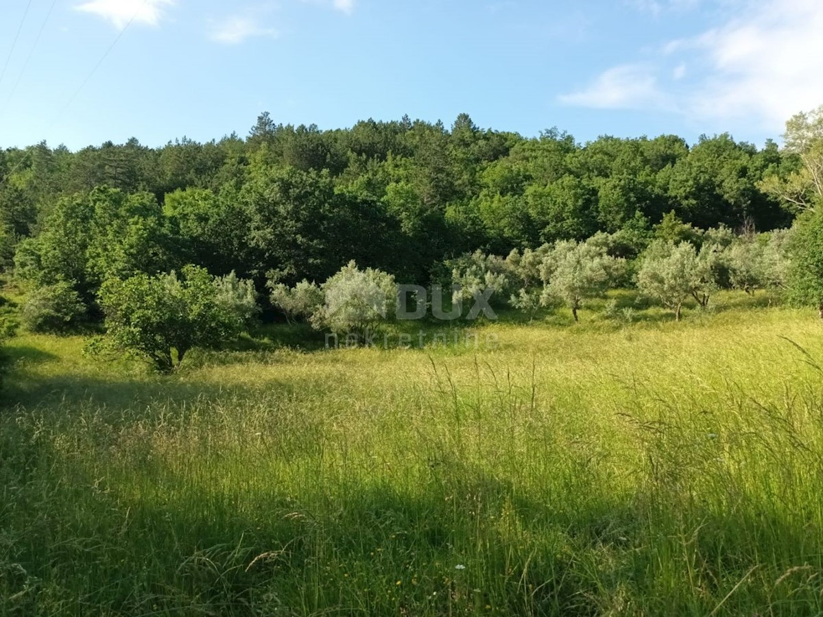 ISTRIA, BUZET - Casa in pietra in rovina nel cuore della natura